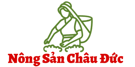 CÔNG TY TNHH XUẤT NHẬP KHẨU NÔNG SẢN CHÂU ĐỨC