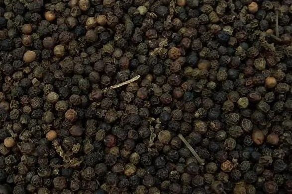 BLACK PEPPER 500GL FAQ